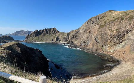 北海道 礼文島産 極上の旨み 昆布〆ムラサキウニ 100g×1パック［Dining cafe 海］【 うに ウニ 雲丹 昆布〆 ムラサキウニ 珍味 おつまみ 酒の肴 ご飯のお供 絶品 海鮮 】