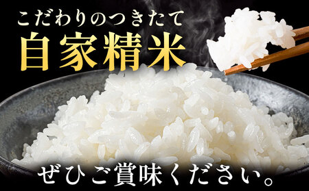 令和8年産 長狭米 曽呂地区指定米 コシヒカリ 白米 5kg 中村米店