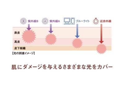 ドモホルンリンクル 日焼け止め 再春館製薬所 光対策ドレスクリーム＜日中クリーム＞ 25g(約75日分)  