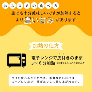 野菜 朝採れ とうもろこし 10本 〈アグリにのうみ〉