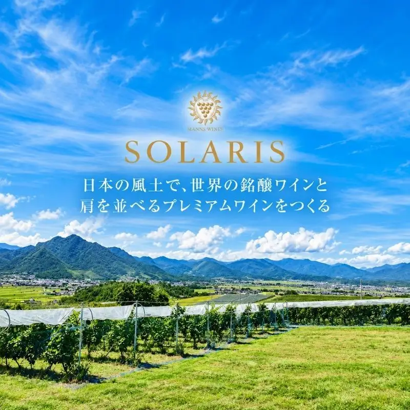 テロワールセット(紅白セット)  ワイン お酒 赤ワイン 白ワイン ワインセット 果実味 しっかりしたタンニン 