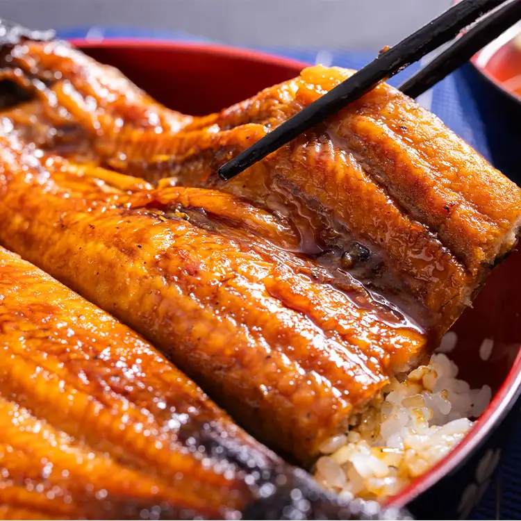 【うなぎ蒲焼き】高知県産養殖うなぎ蒲焼き 3尾(合計約660g) タレ付き 冷凍 真空パック 高知県 須崎市道の駅  ss-0035