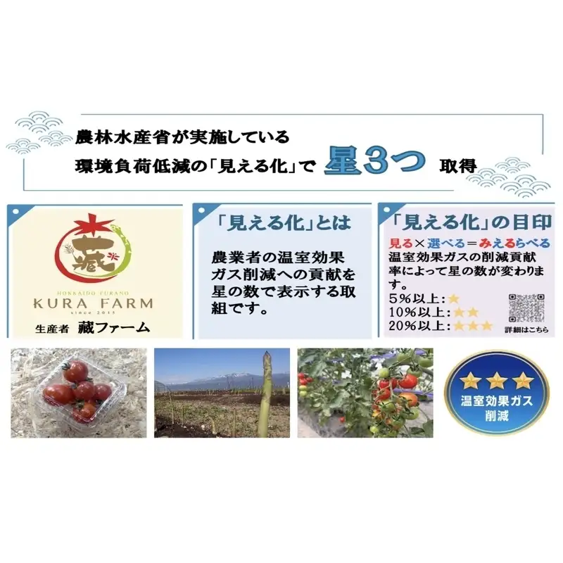 【2026年7月より発送】北海道 富良野市産 完熟ミニトマト（甘っこ）約1kg カラートマト・ぷちぷよ付 トマト 甘い 野菜 新鮮 数量限定 先着順【藏ファーム】