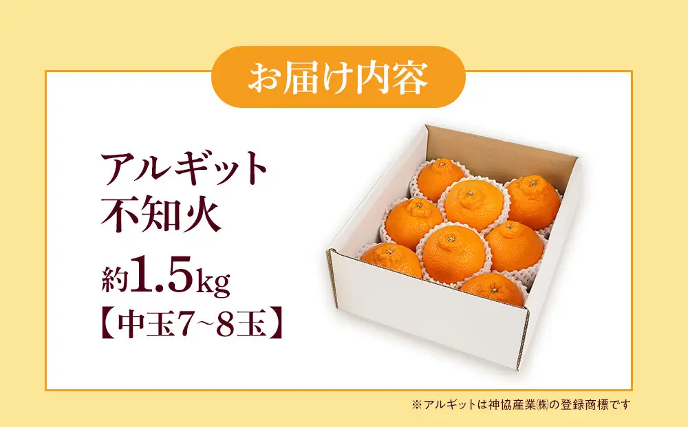 アルギット 不知火 約1.5kg 中玉 サイズ（7～8玉）しらぬい