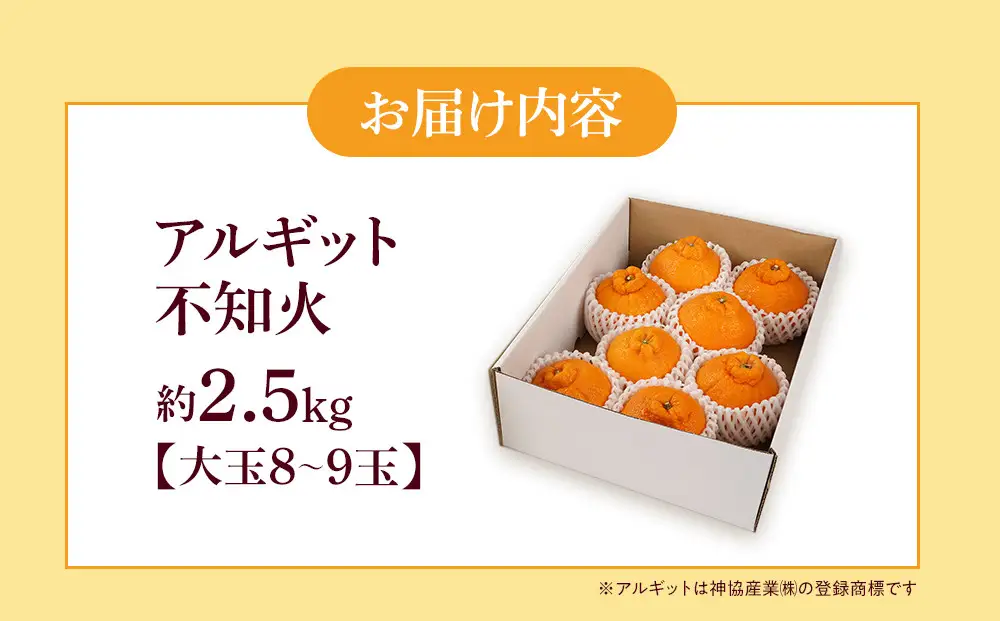 アルギット 不知火 約2.5kg 大玉 サイズ（8～9玉）不知火
