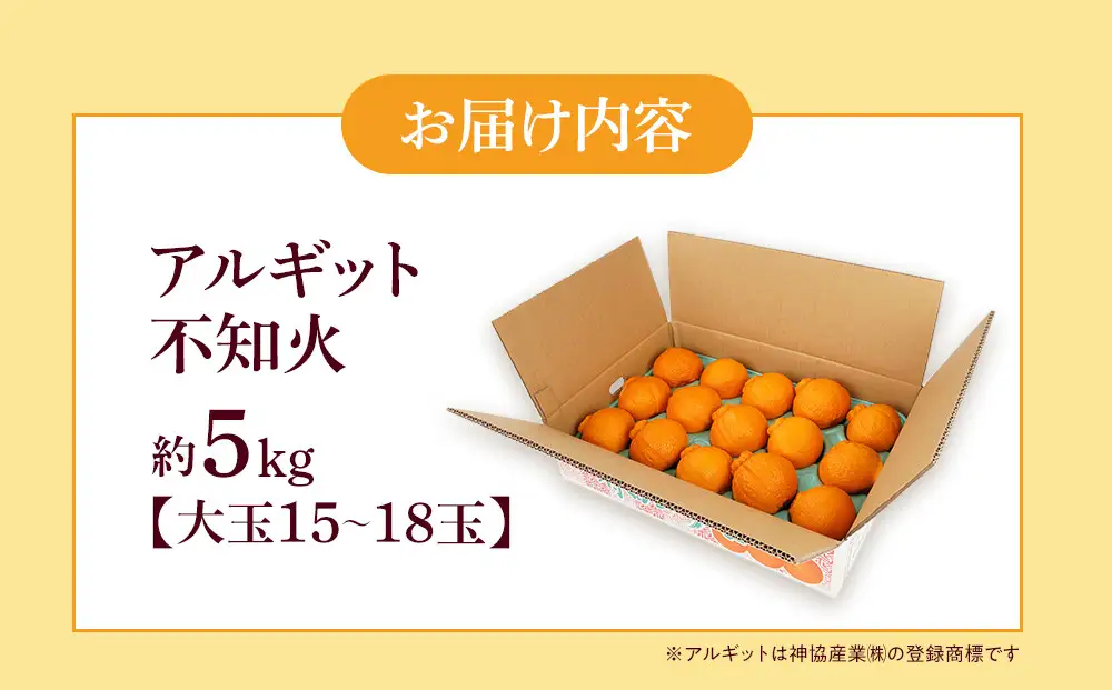 アルギット 不知火 約5kg 大玉 サイズ（15～18玉）不知火