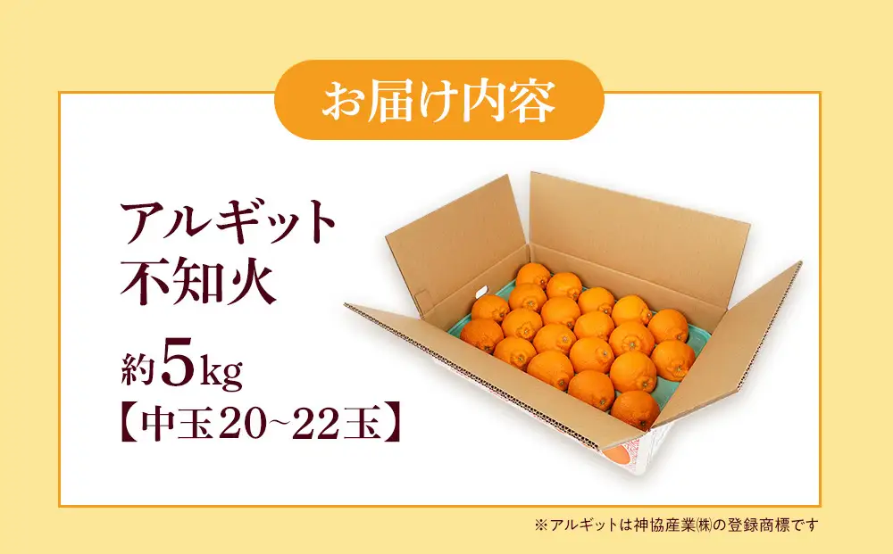 アルギット 不知火 約5kg 中玉 サイズ（20～22玉）不知火