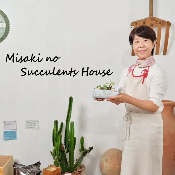 多肉植物の寄せ植えセット（メゾンレクトポット）長屋根