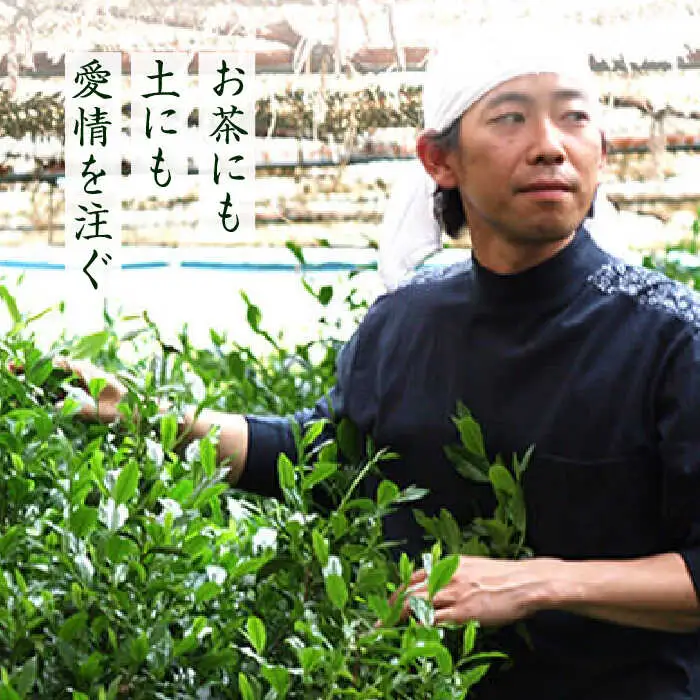 【全6回定期便】奥八女星野村 八女茶 伝統本玉露[50g]×2袋 [ABDF110]