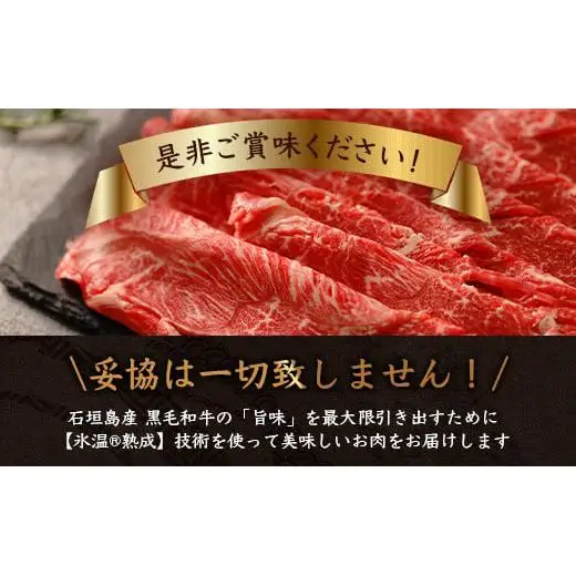 石垣島産 黒毛和牛 ウデスライス 500g×2【合計1kg】 YC-1