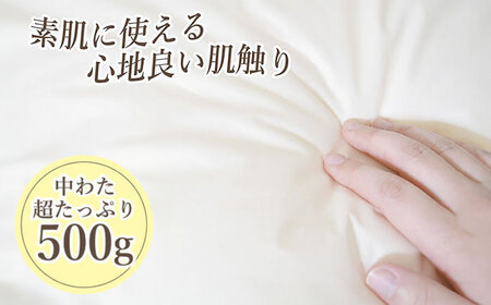 肌掛け布団 シングル （KIK0042S）壱岐市 くじめ屋 JFU013 FN-Limited-SP