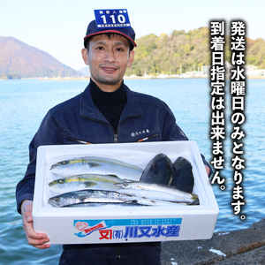 訳あり 鮮魚 詰め合わせ セット 3～4種 約2kg