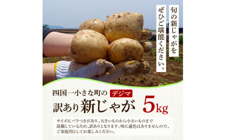 令和8年産新じゃがいも『デジマ』5kg訳あり品 
