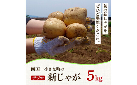 ★先行受付：2025年5月発送開始★大野台地で採れた 令和7年産新じゃがいも『デジマ』5kg 5キロ イモ ジャガイモ 芋 いも ポテト 野菜 おいしい ふっくら 旬 国産 お取り寄せ 送料無料