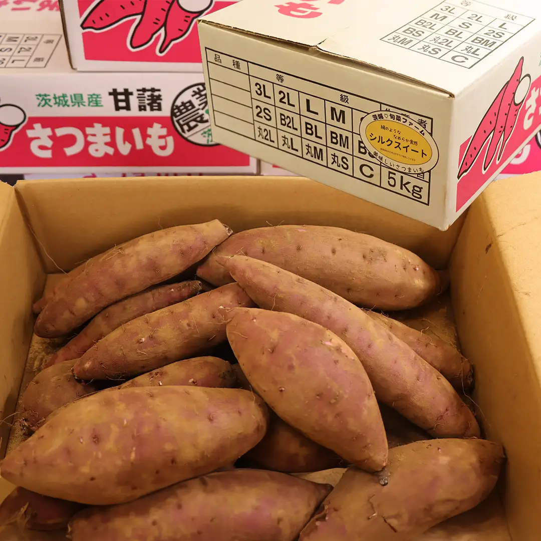さつまいも 【 シルクスイート 】 5kg ( 箱込 ) 