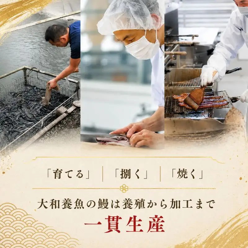 うなぎ 計250g サイズ不揃い5 6袋 加工品 うなぎ