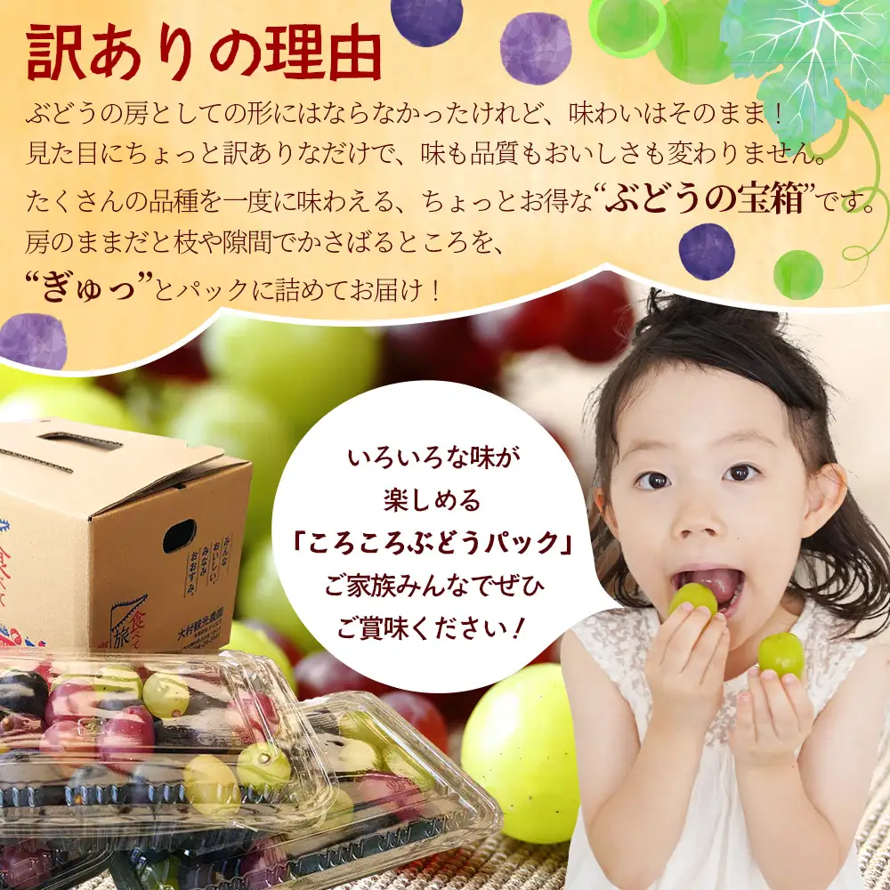 【先行予約・数量限定】2026年7月下旬発送 ＜訳あり＞ 本土最南端ぶどう ころころぶどうパック 約1.2kg TE707｜期間限定 家庭用 産地直送 旬 ブドウ 葡萄 ぶどう フルーツ 果物 くだもの 果実 食べ比べ 鹿児島県 南大隅町 有限会社ティエラ　