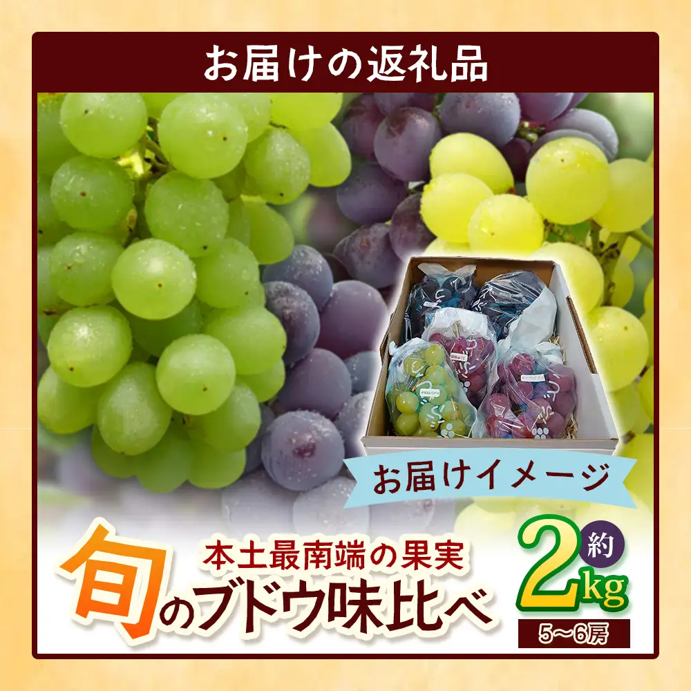 【先行予約・数量限定】2026年7月下旬発送 旬のブドウ味くらべ約2kg (5～6房) TE708｜期間限定 産地直送 旬 ブドウ 葡萄 ぶどう フルーツ 果物 くだもの 果実 食べ比べ 鹿児島県 南大隅町 有限会社ティエラ　