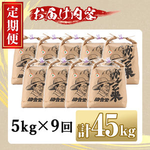 【F7069】＜令和7年産 先行予約！＞《定期便・全9回》田舎塾特別栽培米「がんこ米ゆめぴりか」(5kg×9回・計45kg) 【2025年10月中旬以降順次発送】 米 お米 白米 北海道産 北海道米 ゆめぴりか 特A 一等級 ごはん おこめ コメ 単一原料米 定期便 【田舎塾】