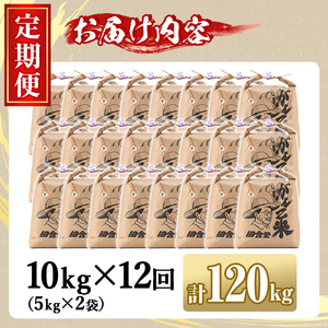 【F7034】＜令和7年産 先行予約！＞《定期便・全12回》田舎塾特別栽培米「がんこ米ゆめぴりか」(10kg×12回・計120kg) 【2025年10月中旬以降順次発送】 米 お米 白米 北海道産 北海道米 ゆめぴりか 特A 一等級 ごはん おこめ コメ 単一原料米 定期便 【田舎塾】