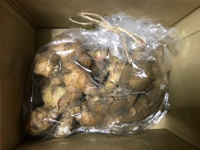 【先行受付】自然農 新生姜１kg（自然のままの土付き）【R00216】