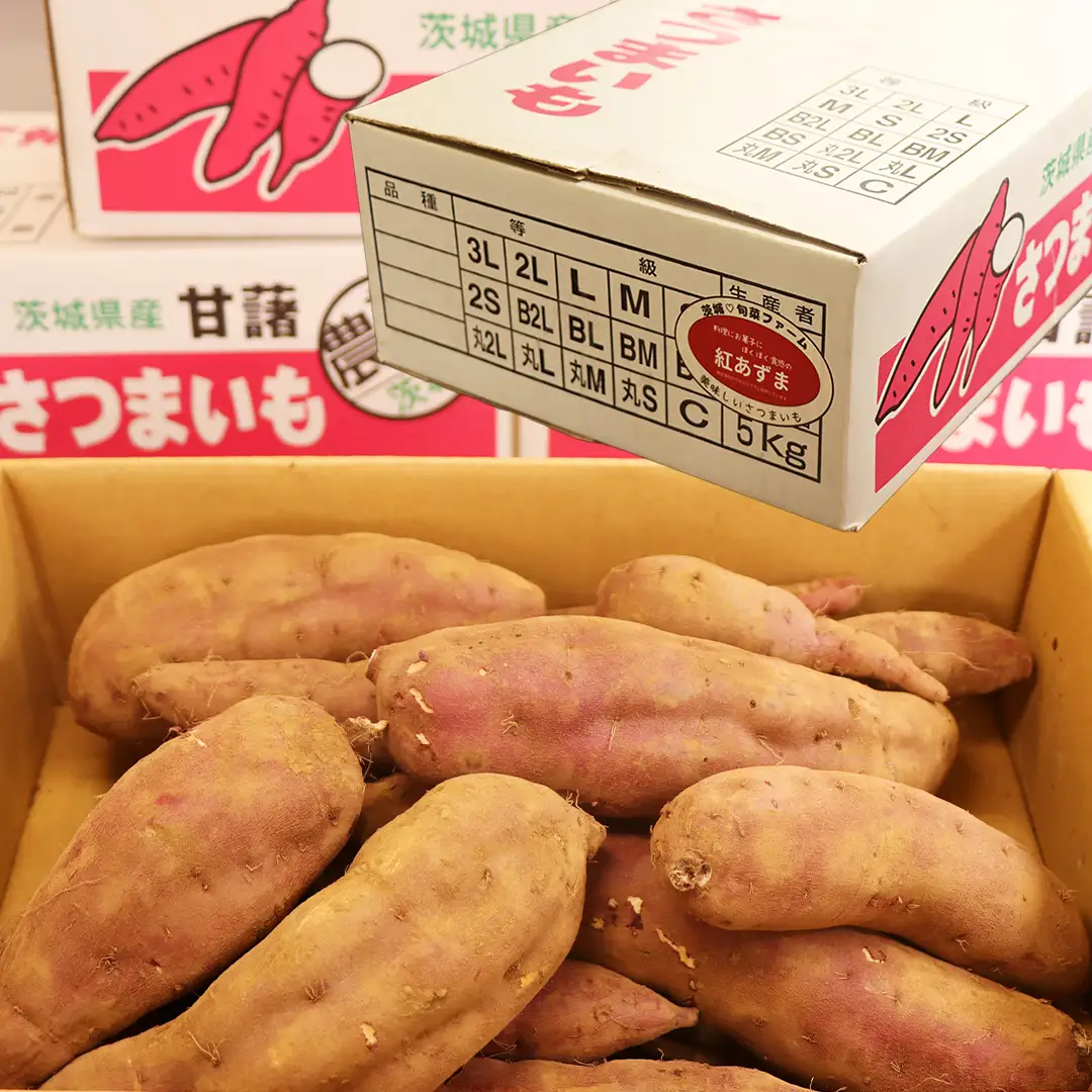さつまいも【 紅あずま 】 5kg ( 箱込 ) 