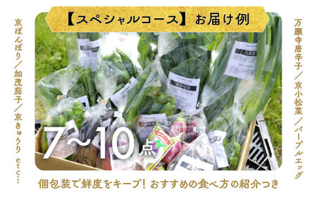 【3回定期便】旬の京野菜セット スペシャルコース 野菜