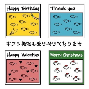 【11月下旬～発送】さばの干物 ５枚セット 【R01163】