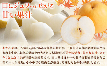 【2027年先行予約】あたご梨 2玉 計約1.8kg 環山堂株式会社 梨