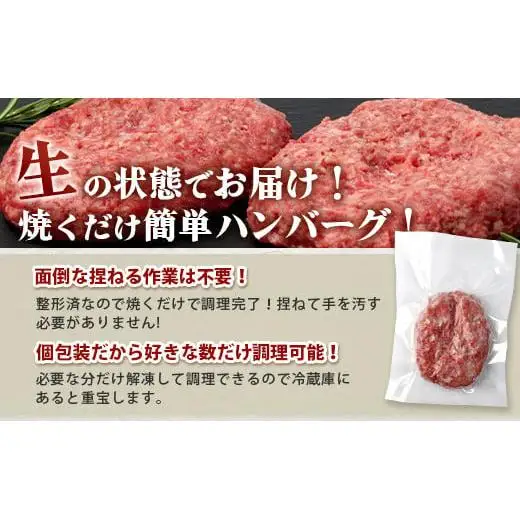 石垣島産 黒毛和牛 生ハンバーグ 120g x 6個 UN-1
