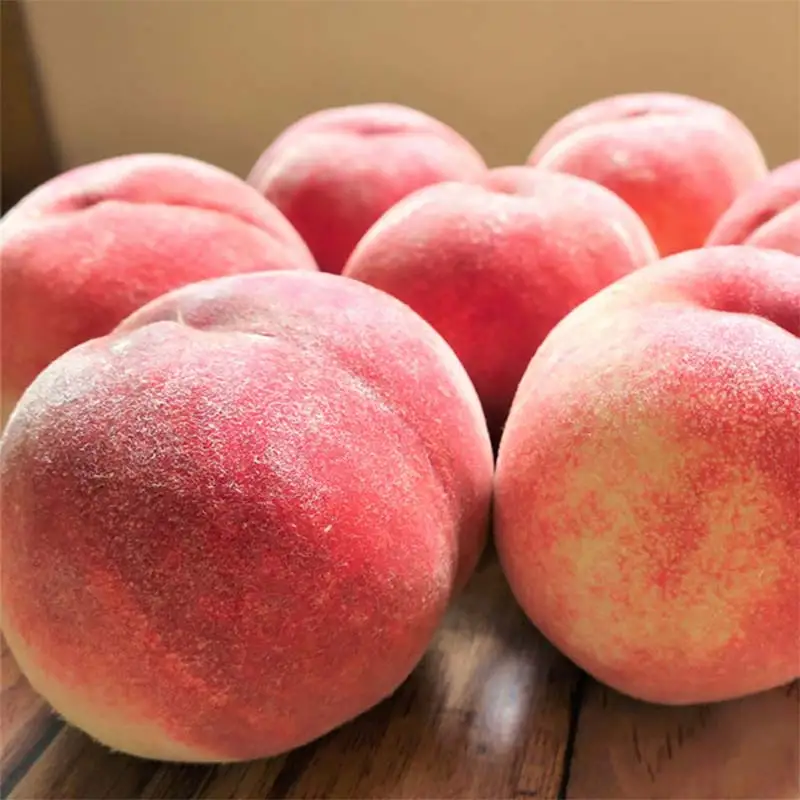 《2026年産先行受付》山形県産 白桃 秀品 5kg（12玉～20玉） 品種おまかせ 軟らかくなる桃 あかつき 川中島白桃 伊達白桃 他 もも モモ 桃 デザート フルーツ 果物 くだもの 果実 食品 山形県 FSY-2514