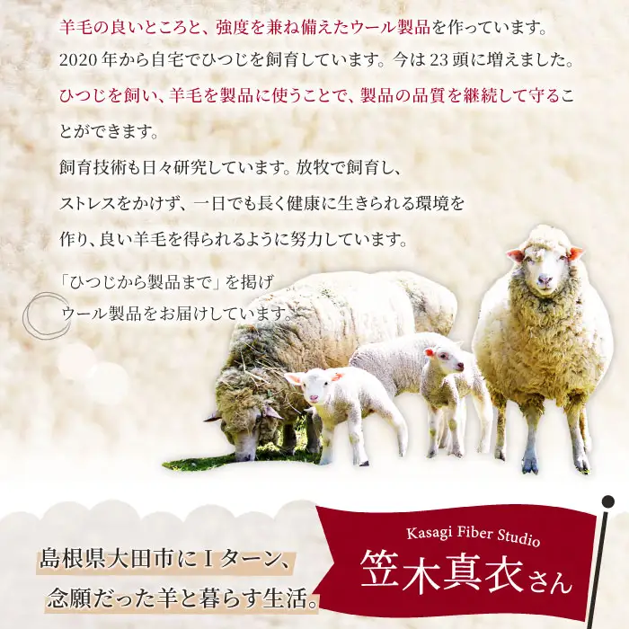 ひつじ飼いが作る ごほんゆびウールソックス Lサイズ(ベージュ)【ウール ソックス 5本指 靴下 Lサイズ ベージュ レディース メンズ 男女兼用 島根県 大田市】