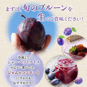 [2026年発送] 北海道仁木町産 プルーン 800g ( サンプルーン ) 厳選品 果物 フルーツ 国産 高糖度 ほどよい酸味 北海道産プルーン 国産プルーン [松山商店]
