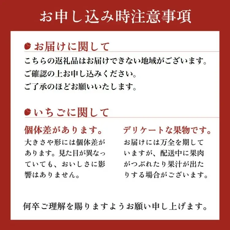 高級いちご 完熟スカイベリー2パック 580g アフター対応あり いちご ※2026年12月～発送