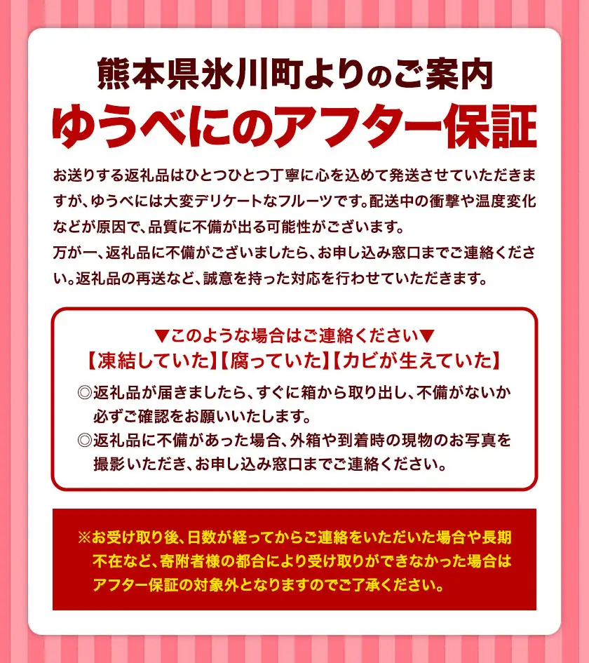 先行予約 熊本県産 いちご ゆうべに 約1000g（約250g×4パック）