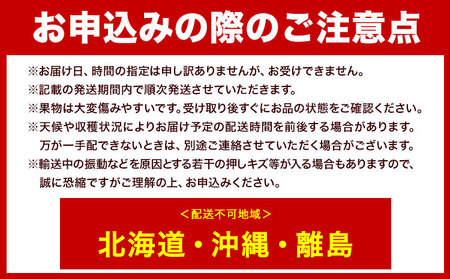 【先行予約】マスカット オブ アレキサンドリア 1房(1房700g以上) 化粧箱入【配送不可地域あり】