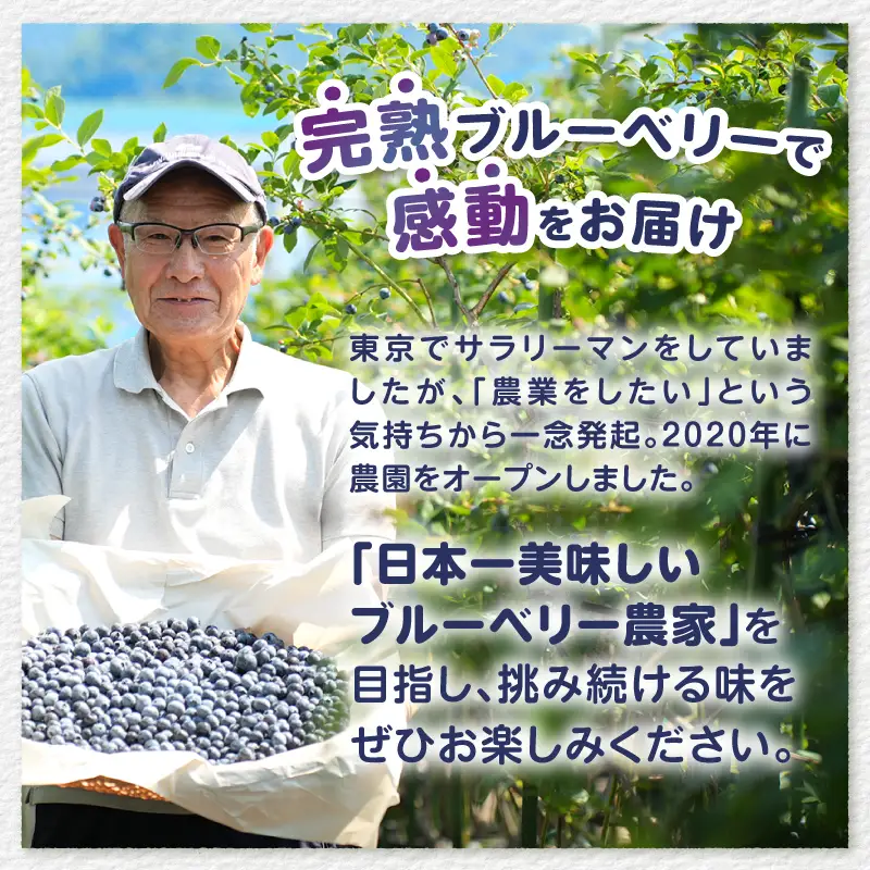 2026年産 大人気！甘くジューシーな冷凍ブルーベリー1kgパック [h186]