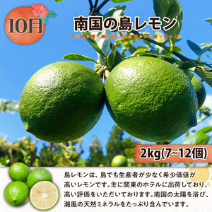  和泊町「夢」のコラボ【5回】定期便Ａ W034-001u 野菜 イモ 定期便