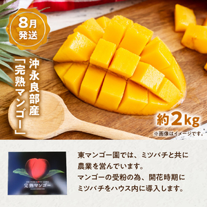 和泊町「夢」のコラボ【5回】定期便B W034-002u 冷凍 野菜 イモ 定期便