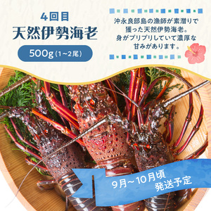 和泊町「夢」のコラボ【4回】定期便Ｅ W034-005u 冷凍 野菜 イモ 定期便