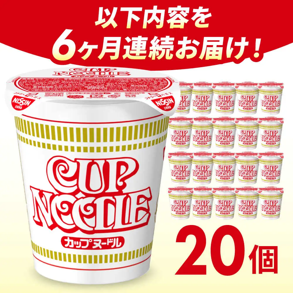 【全6回定期便】日清カップヌードル 20食 BIBI008 カップヌードル