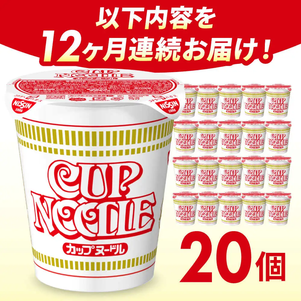 【全12回定期便】日清カップヌードル(1ケース20食入) BIBI009 カップヌードル