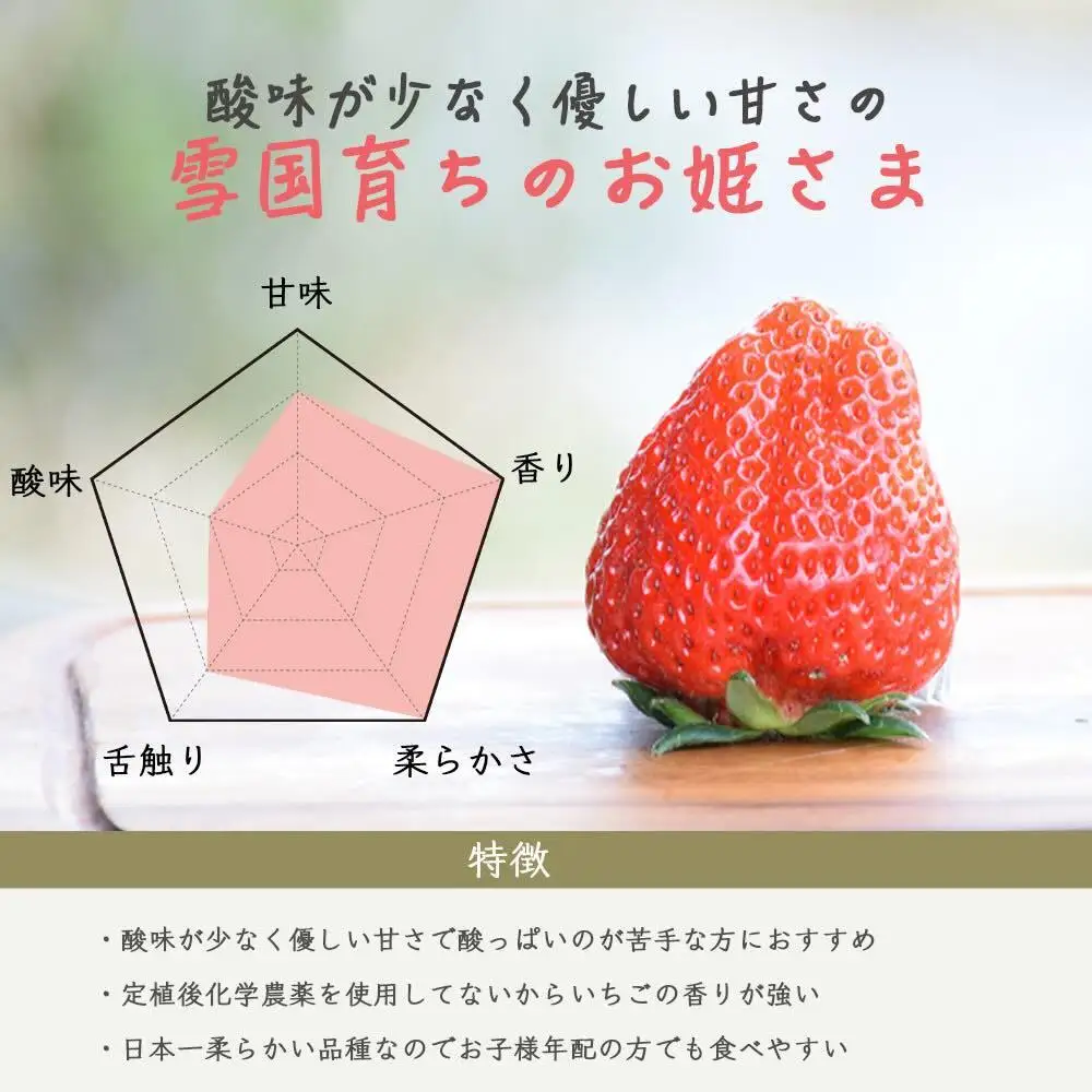 【先行予約】越後姫 いちご シングル約380g 越後姫 苺の花ことば