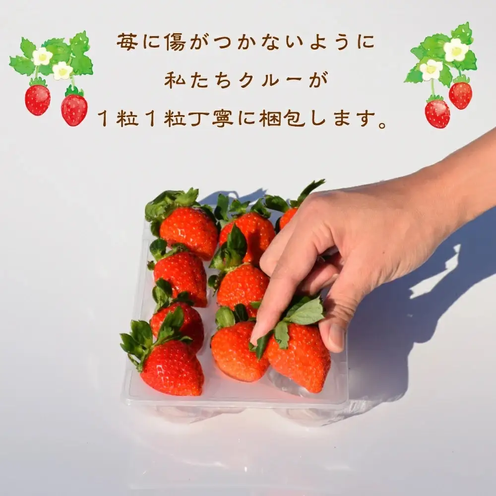 【先行予約】越後姫桃薫 いちご ダブル約760g 越後姫 食べ比べ