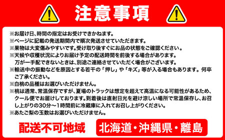 【先行予約】岡山のフルーツ 定期便6回コース【配送不可地域あり】
