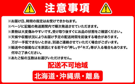 【先行予約】 岡山のフルーツ 定期便3回コース【配送不可地域あり】