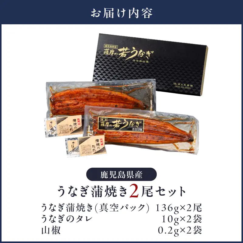  1654-1 鹿児島県産 うなぎ蒲焼き2尾セット KN058-002-02 魚 鰻