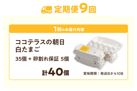 【9ヵ月定期便】ココテラスの朝日（白たまご）35個 + 5個保証（計40個）【JGAP認証】 農家直送 新鮮 卵 タマゴ 白卵 玉子 鶏卵 朝食 夕食 夜食 朝ごはん たまご焼き だし巻き卵 オムレツ 卵ご飯 料理 濃厚 飼料にこだわった 卵かけご飯 米たまご 生卵 大容量 お取り寄せ 愛知県 常滑市