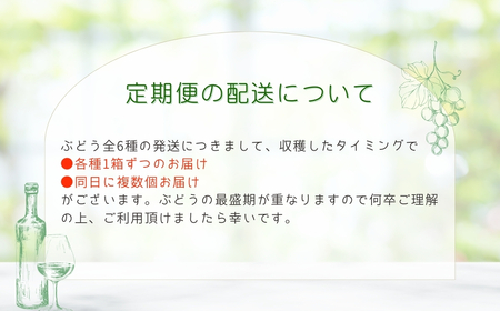 【先行予約 2025年発送】＼ぶどう６種食べくらべ定期便／ 6回発送 冷蔵 高級 種無し 種なし シャインマスカット ブドウ ぶどう 品種 果物 フルーツ 巨峰 美味しい 希少 人気 ランキング ギフト 納税 福島 ふくしま 田村市 鈴木農園