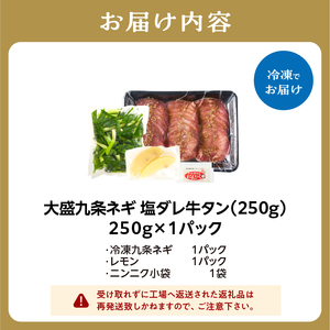 【大盛九条ネギ】塩ダレ牛タン250g 薄切り牛タン 京都府 木津川市 093-04